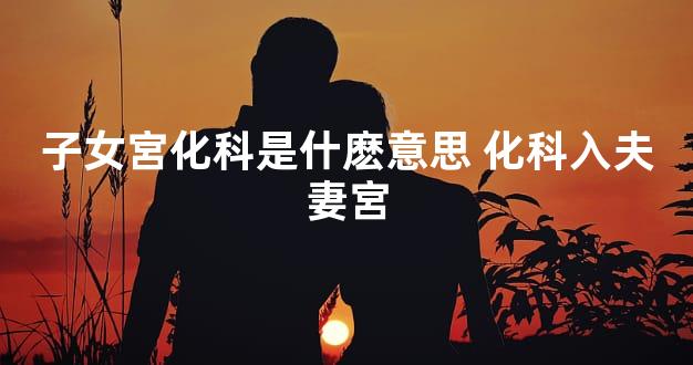 子女宮化科是什麽意思 化科入夫妻宮
